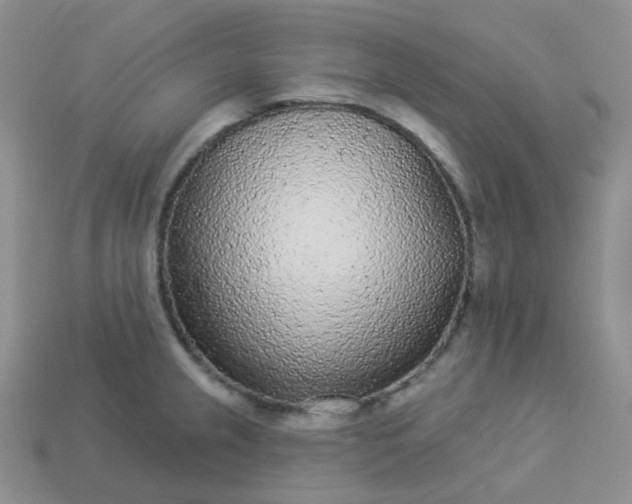 X0000114161237200910221601