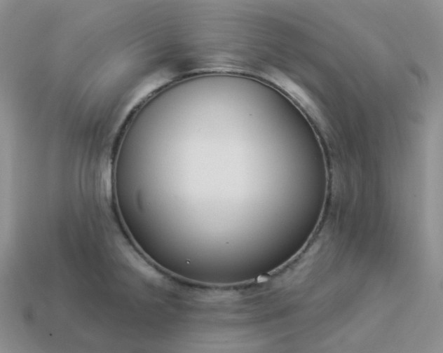 X0000114161238200910221601