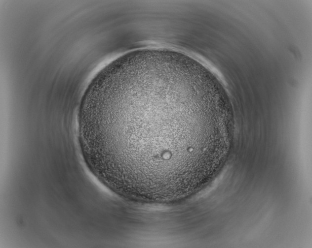 X0000114161239200910221601