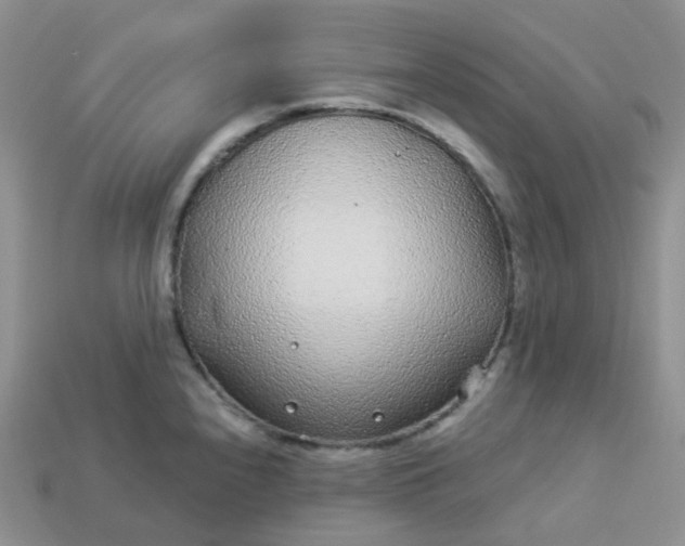 X0000114161240200910221601