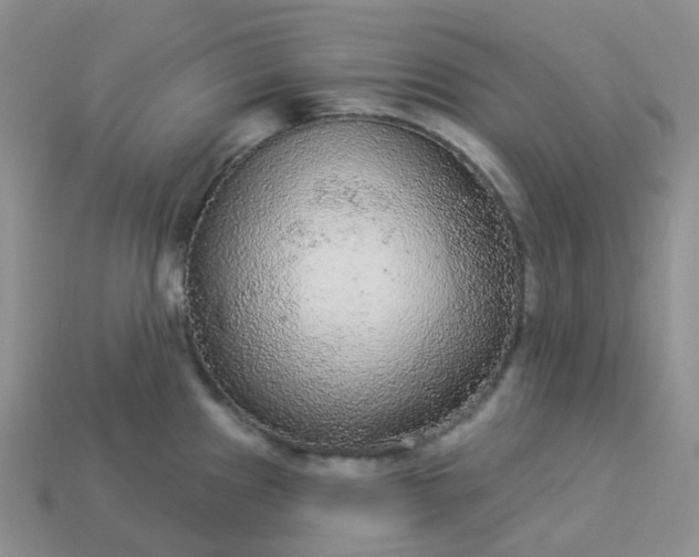 X0000114161241200910221601