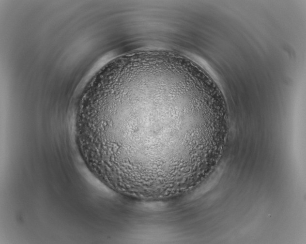 X0000114161243200910221601