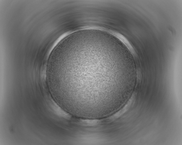 X0000114161244200910221601