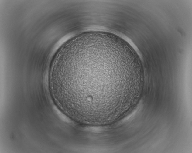 X0000114161245200910221601