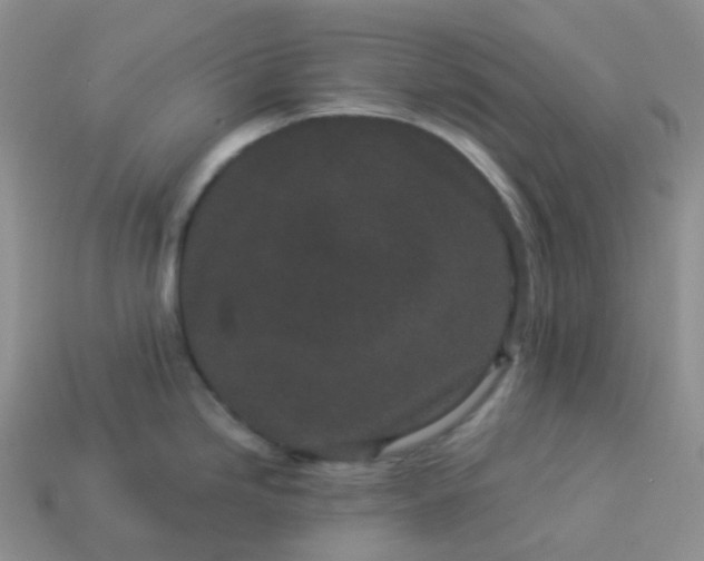 X0000114161246200910221601