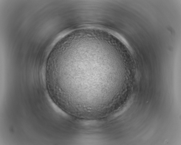 X0000114161247200910221601