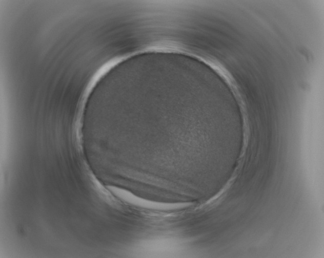 X0000114161248200910221601