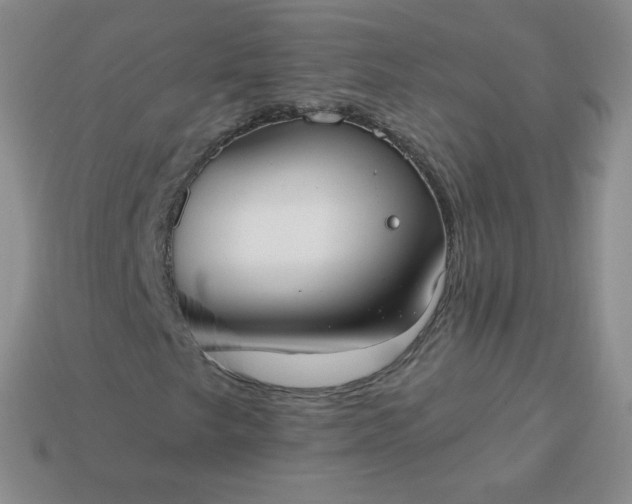 X0000114161249200910221600