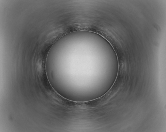 X0000114161250200910221600