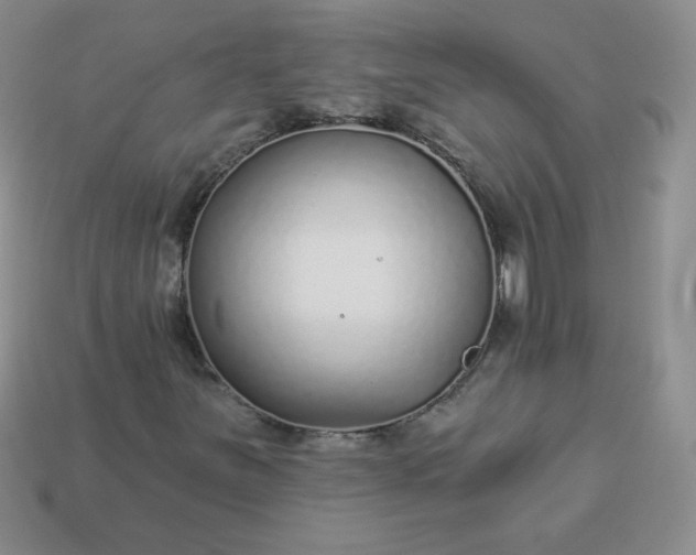 X0000114161251200910221600