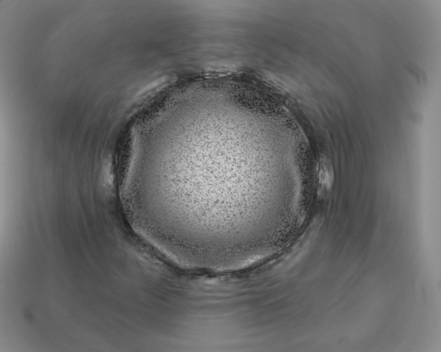 X0000114161252200910221600