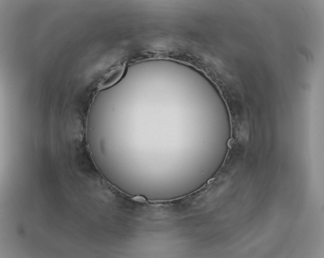 X0000114161253200910221600