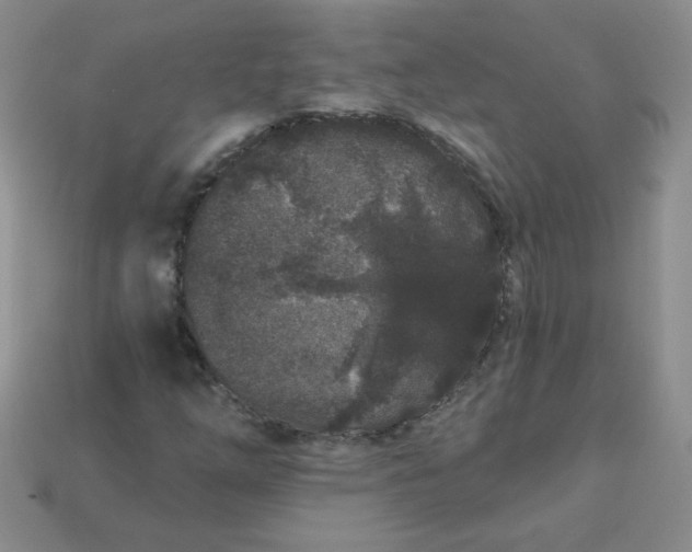 X0000114161254200910221600