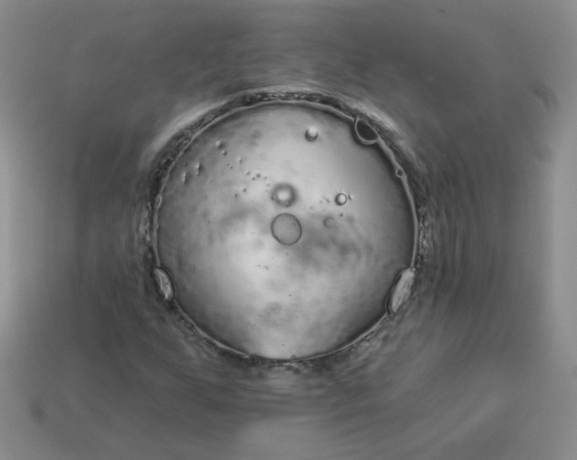 X0000114161255200910221600