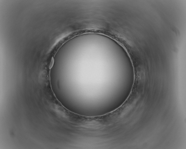 X0000114161256200910221600