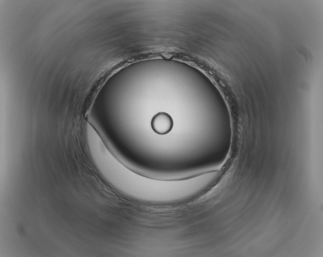 X0000114161257200910221600