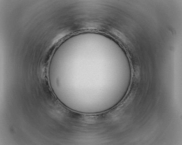 X0000114161258200910221600