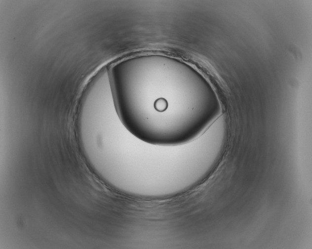 X0000114161260200910221600