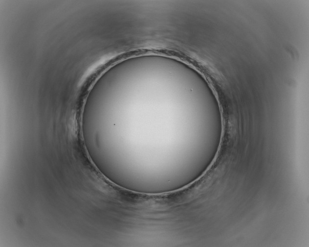 X0000114161262200910221600