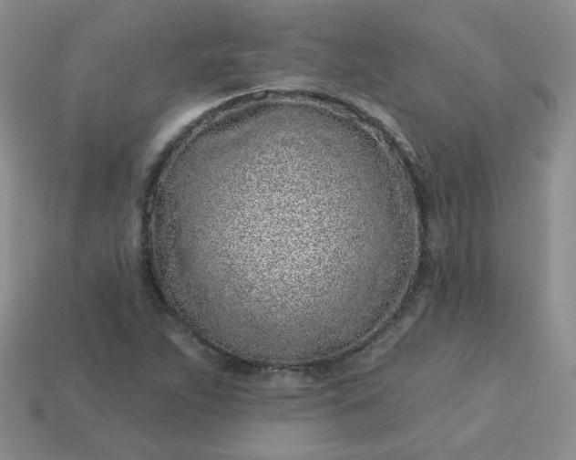 X0000114161263200910221600