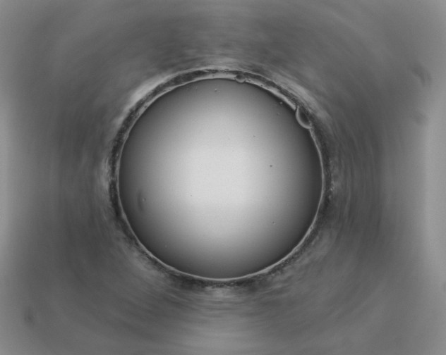 X0000114161264200910221600