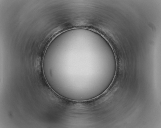 X0000114161265200910221600