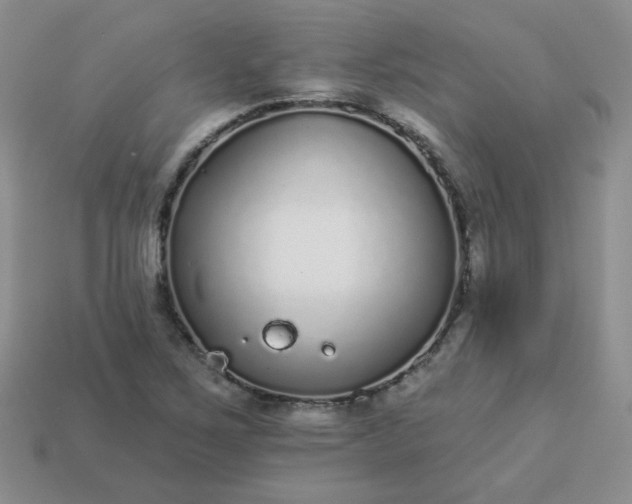 X0000114161267200910221600