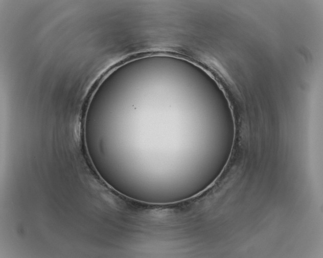 X0000114161268200910221600