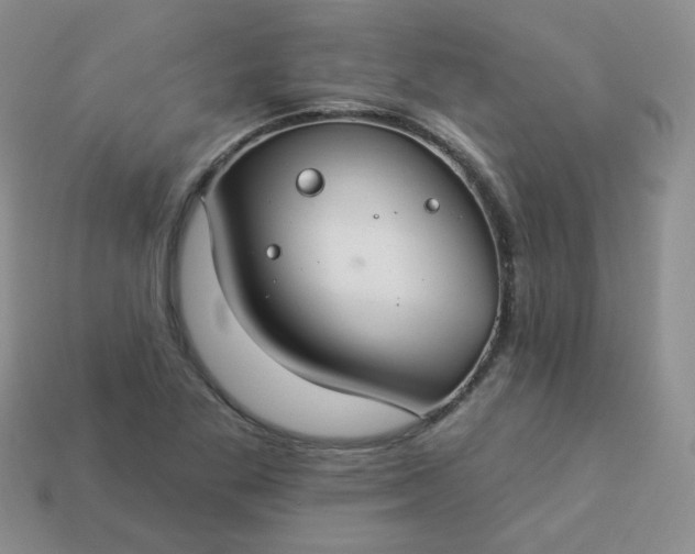 X0000114161269200910221600