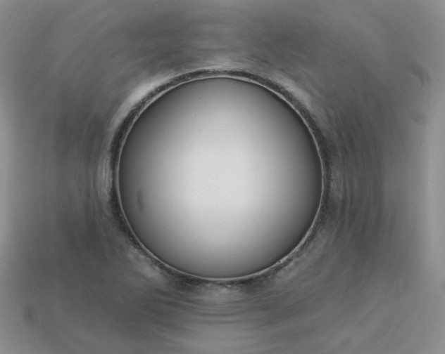 X0000114161270200910221600