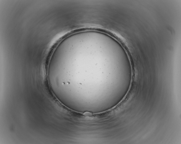 X0000114161271200910221600