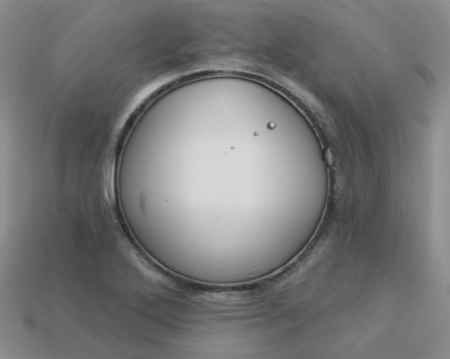 X0000114161272200910221600