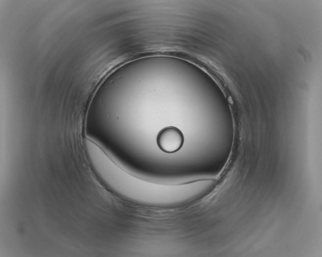 X0000114161273200910221600