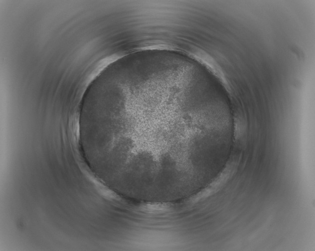 X0000114161274200910221600