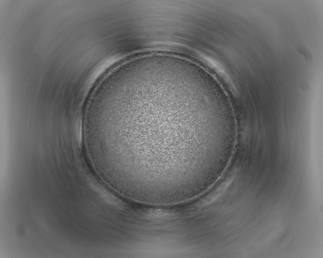 X0000114161275200910221600