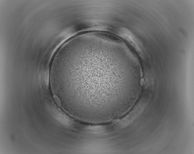 X0000114161276200910221600