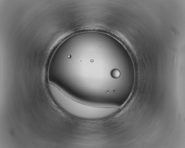 X0000114161277200910221600