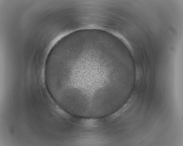 X0000114161278200910221600