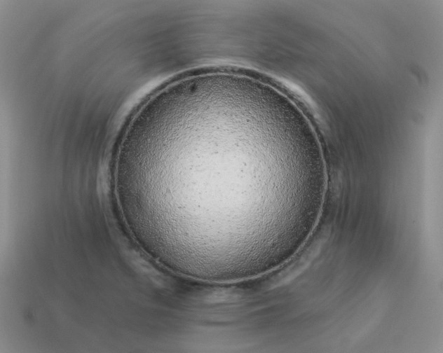 X0000114161279200910221600