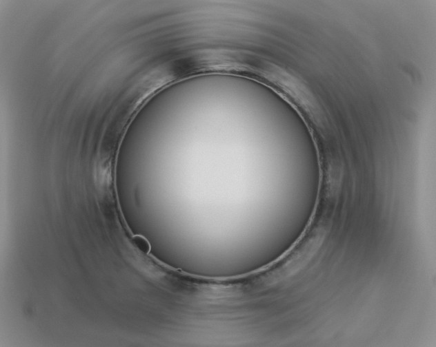 X0000114161281200910221600