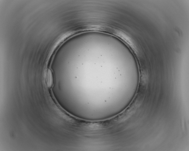 X0000114161283200910221600