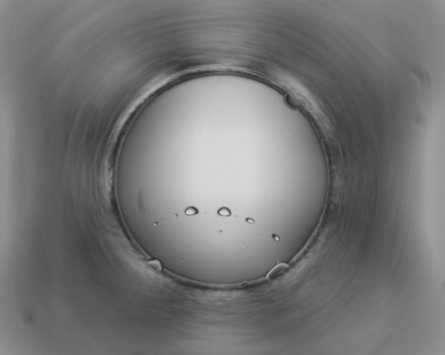 X0000114161284200910221600