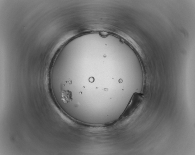 X0000114161285200910221600