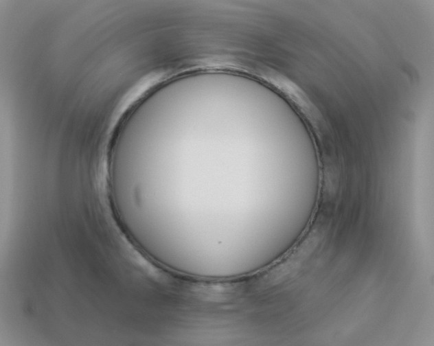 X0000114161286200910221600