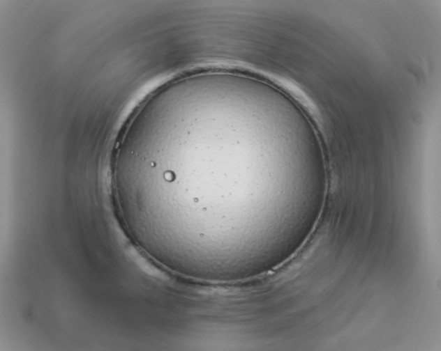 X0000114161287200910221600