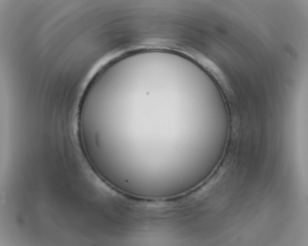 X0000114161288200910221600