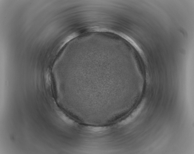 X0000114161289200910221600