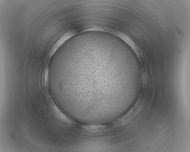 X0000114161290200910221600