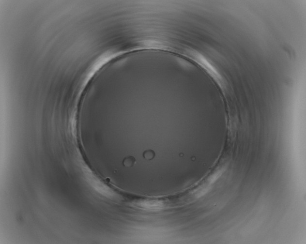 X0000114161291200910221600