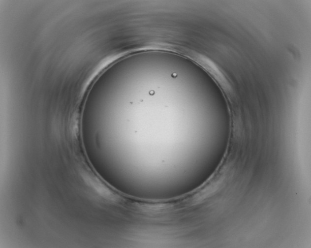 X0000114161292200910221600